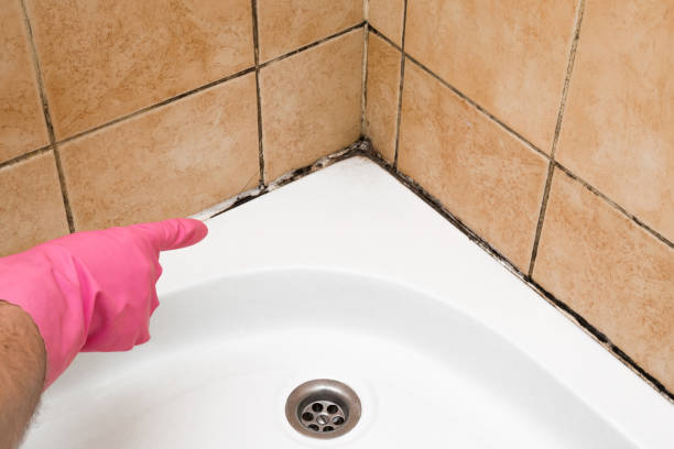 Best Crawl Space Mold Removal  in New Haven, MO